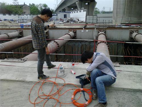 樁體測量（王海波）